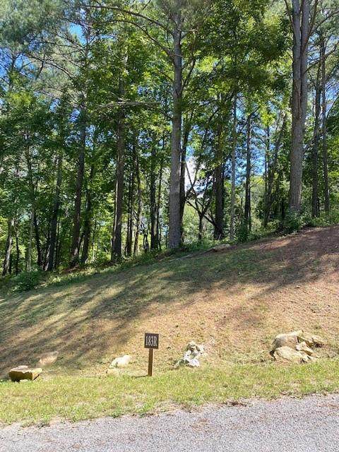 0 Pinnacle Drive - Photo 1