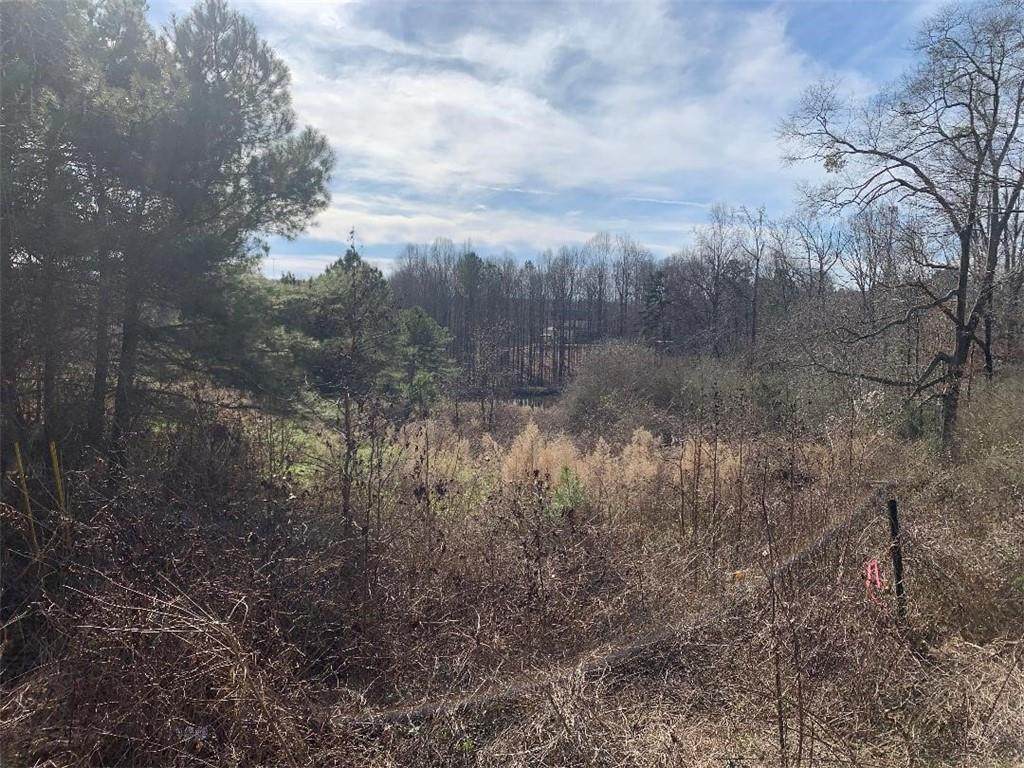 0 Gaines Mill Road - Photo 1