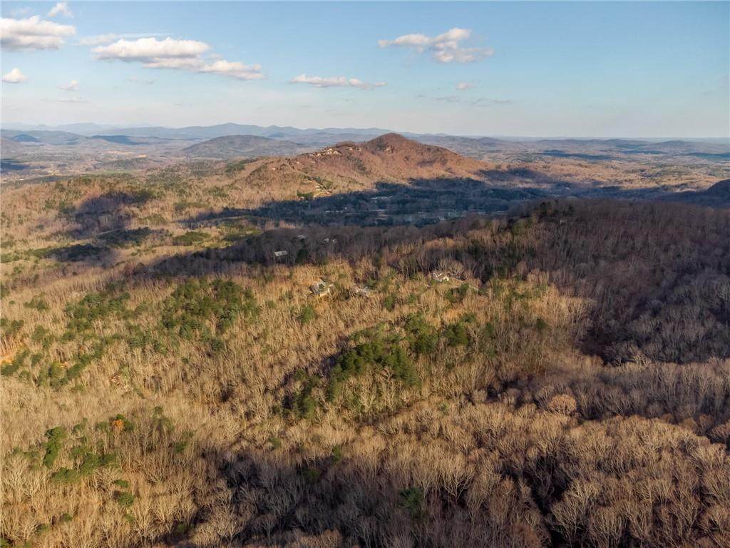 123 Bald Eagle Path - Photo 1