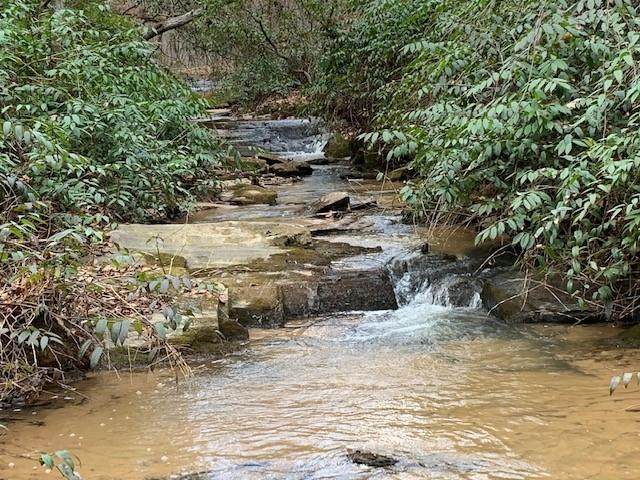 Lot 3B Etowah River Road - Photo 1