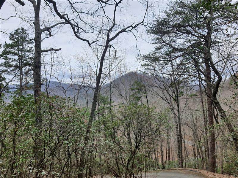 410 Grouse Gap Drive - Photo 1