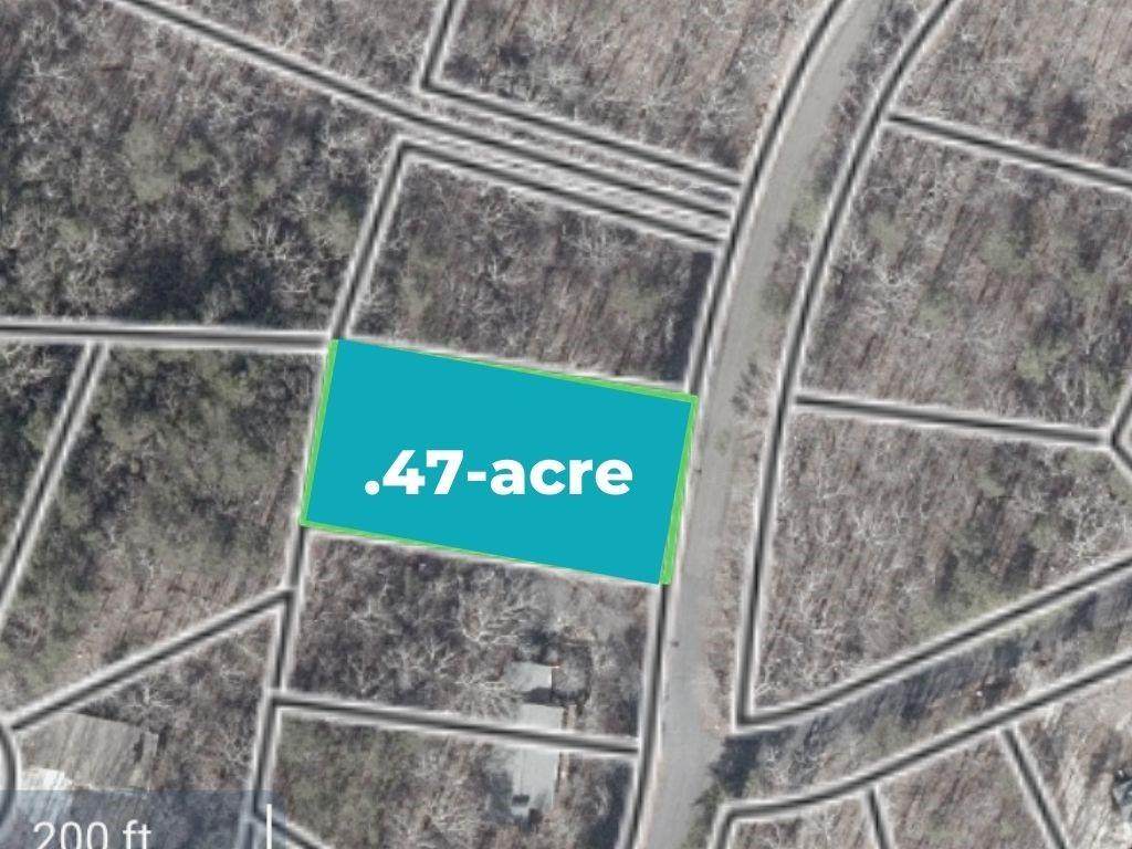 124 Silver Fox Loop - Photo 1