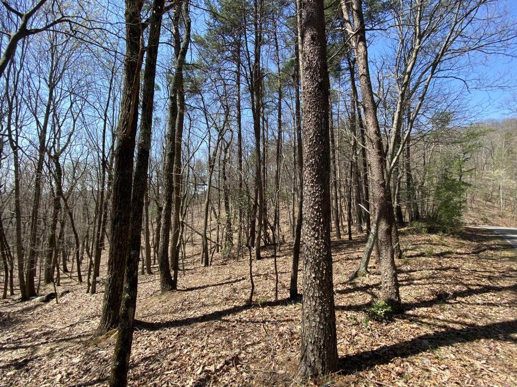 835 Cherokee Trail - Photo 1