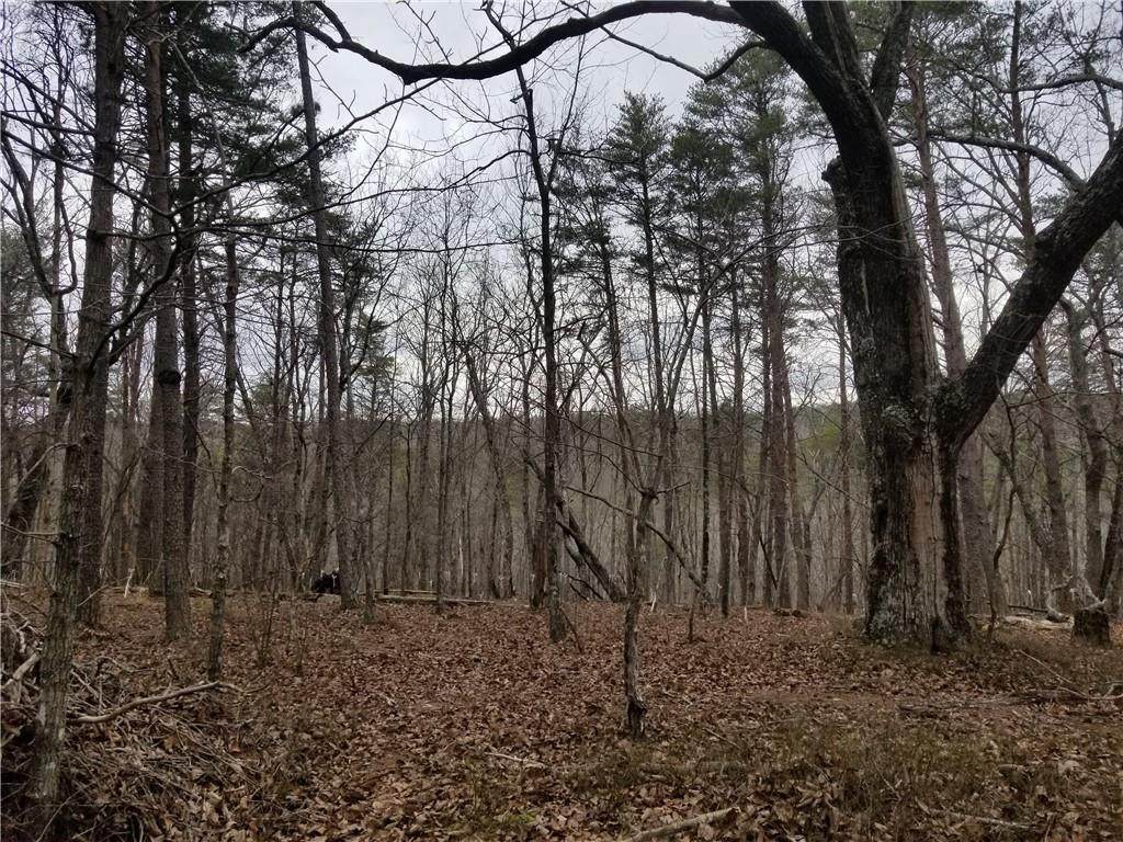 875 Mulberry Circle - Photo 1