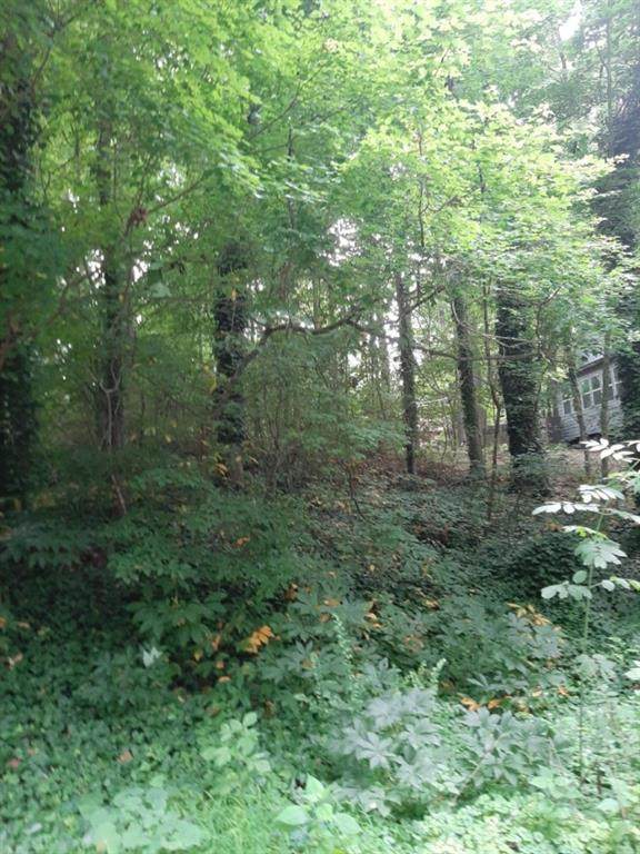 4241 Cary Drive - Photo 1