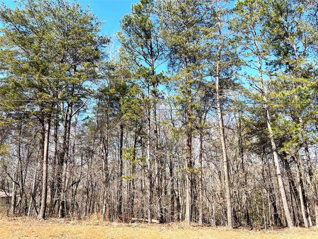3807 Cagle Road - Photo 1