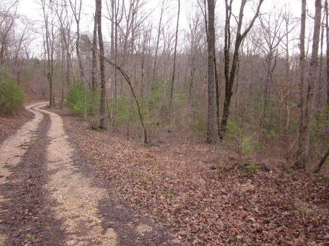 00 Hwy 136 West - Photo 1