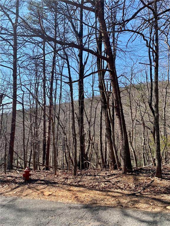 1141 Oglethorpe Mountain Road - Photo 1