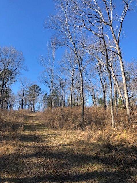 10 Theodore Cox Circle - Photo 1
