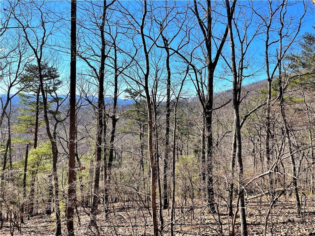 8268 Cox Mountain Lane - Photo 1