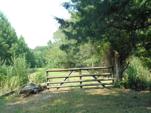 6485 Garretts Ferry Road - Photo 1