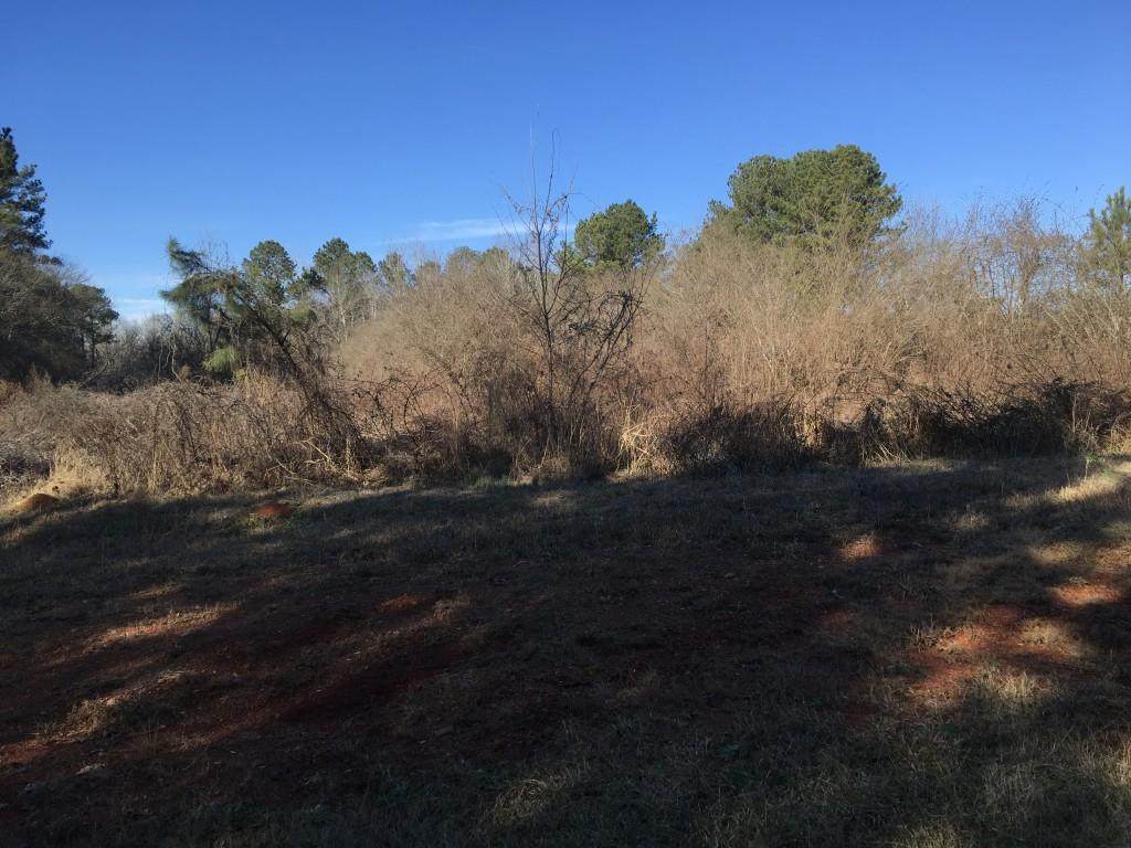 455 Burg Road - Photo 1