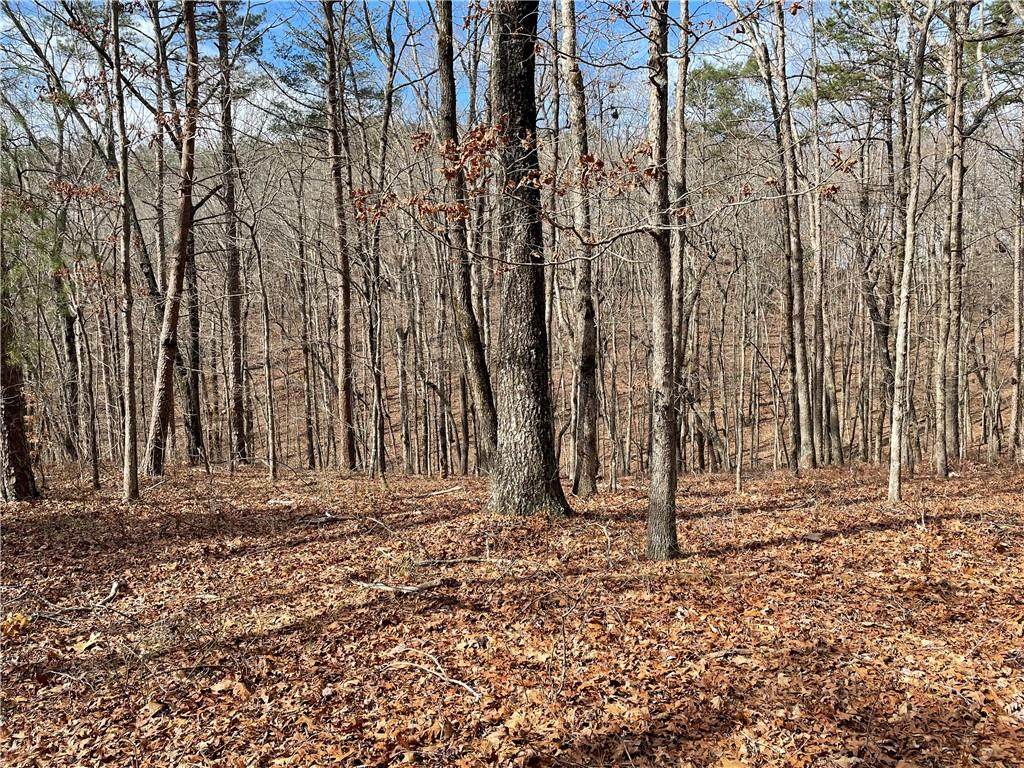 01 Old Federal Road - Photo 1