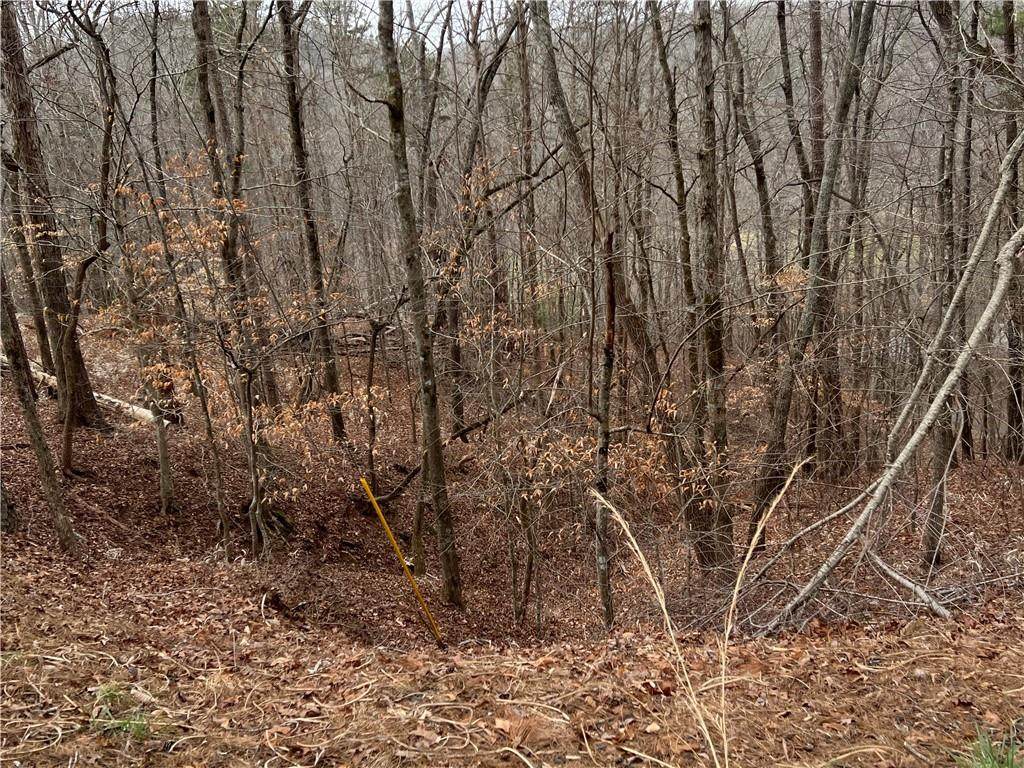 0 Chestatee Street - Photo 1