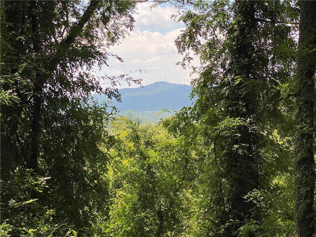 111 Lookout Circle - Photo 1
