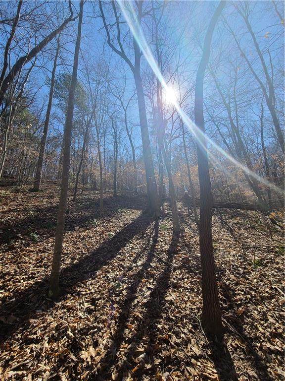 488 Moonstone Court - Photo 1