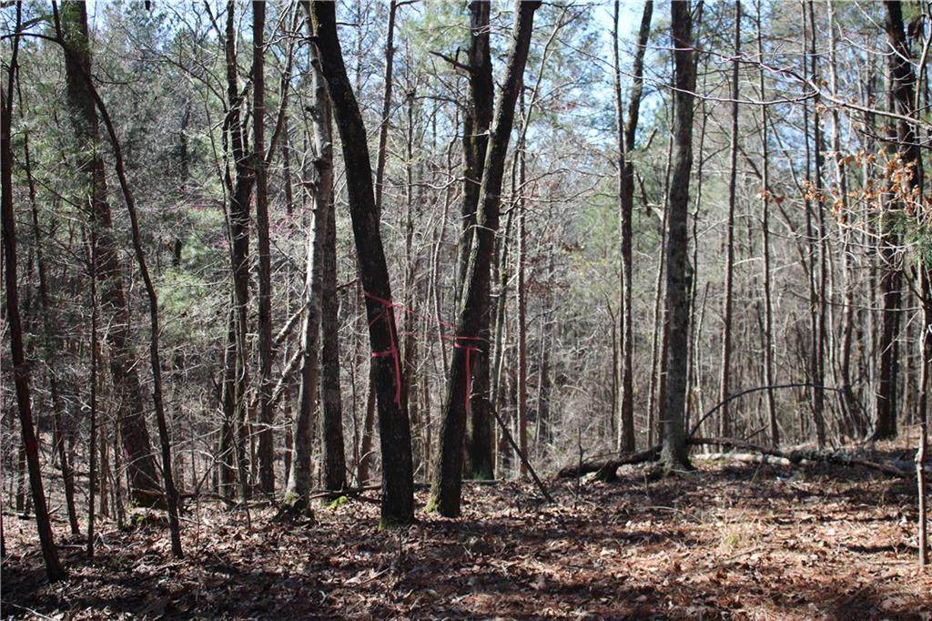 20 Overlook Drive - Photo 1