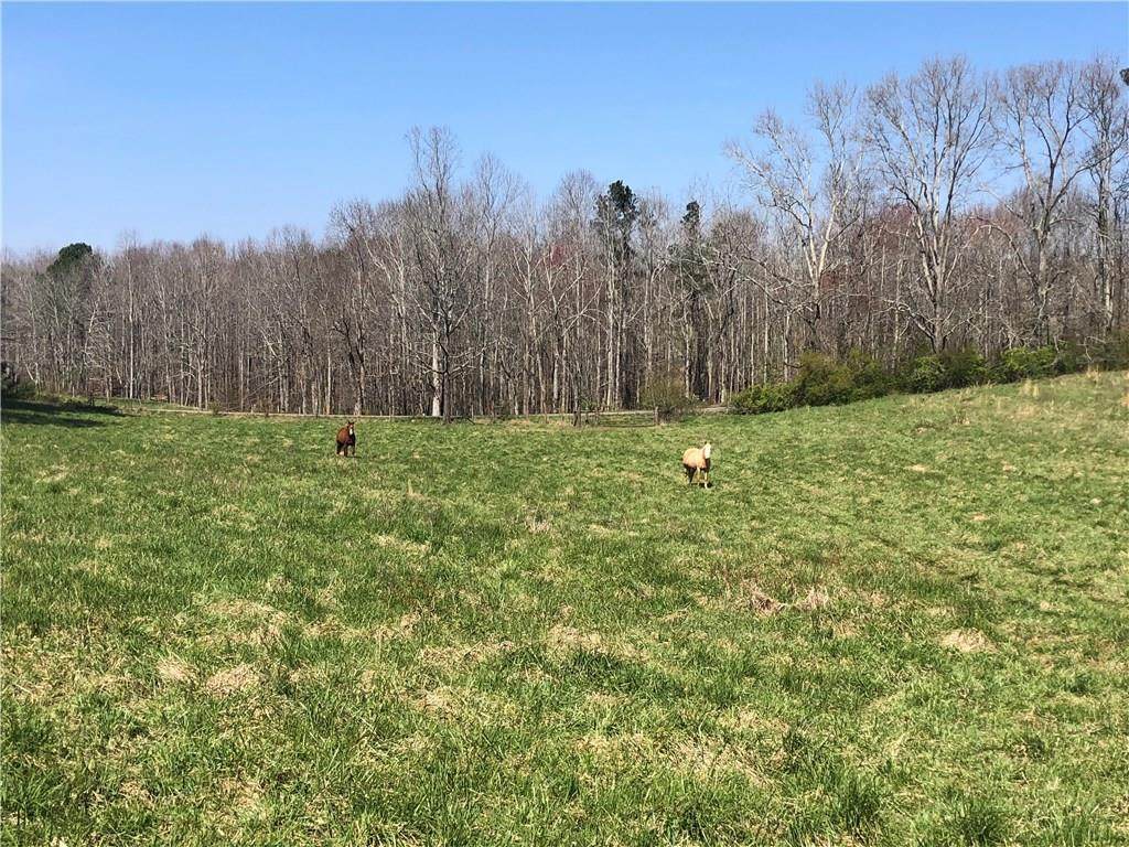Lot 0 Eagles Perch Road - Photo 1