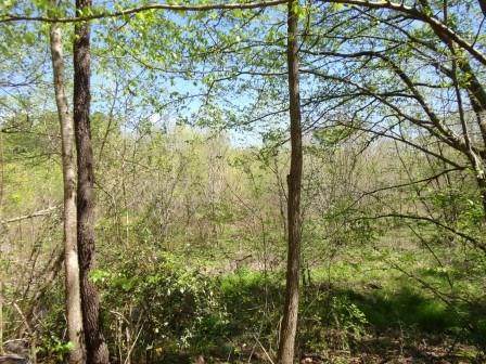 15555 Hopewell Road - Photo 1