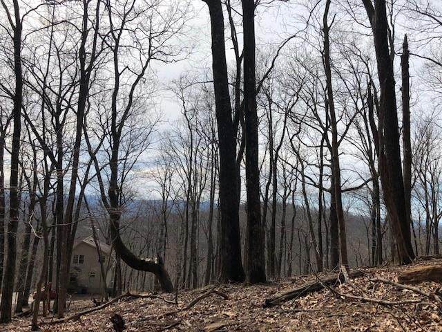 671 Valley View Trail - Photo 1