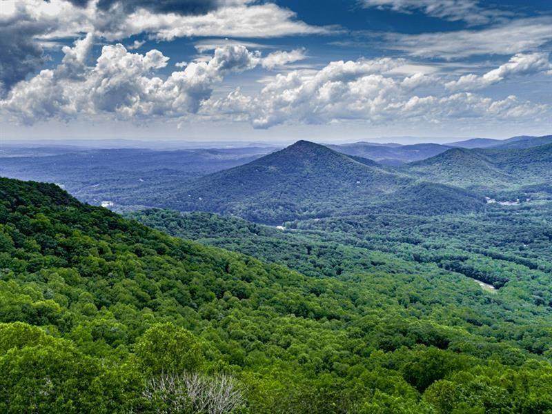00 Big Streetump Mountain Trail - Photo 1