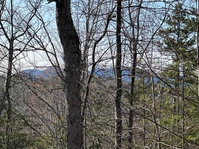 12.9ac Town Creek Church Road - Photo 1