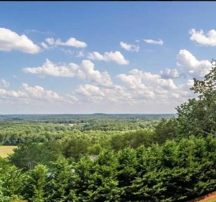 0 Lavista Drive - Photo 1