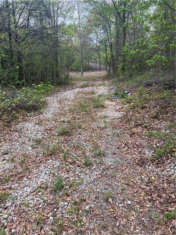0 Etchison Rd Road - Photo 1