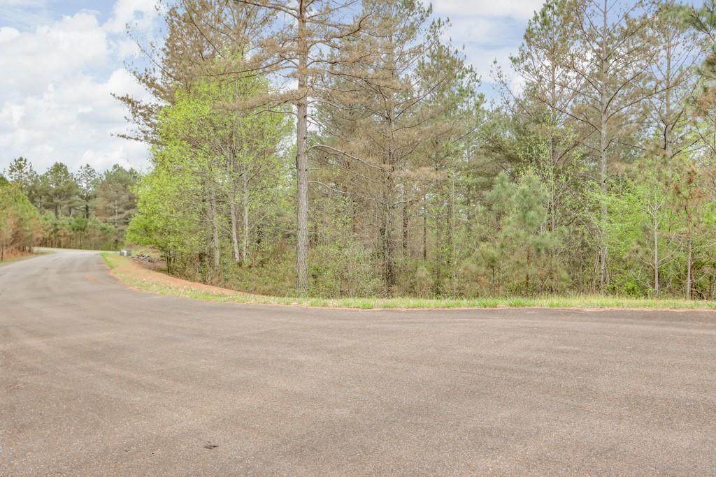 0 Cartecay View Lane - Photo 1