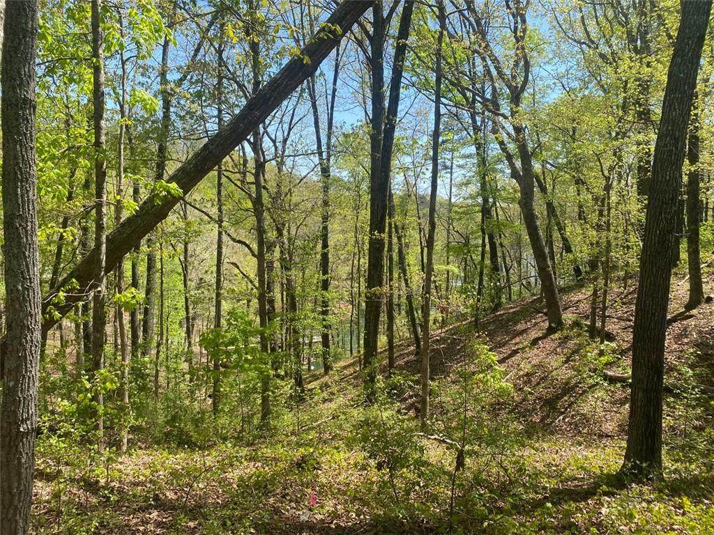 3393 Banks Mountain Drive - Photo 1