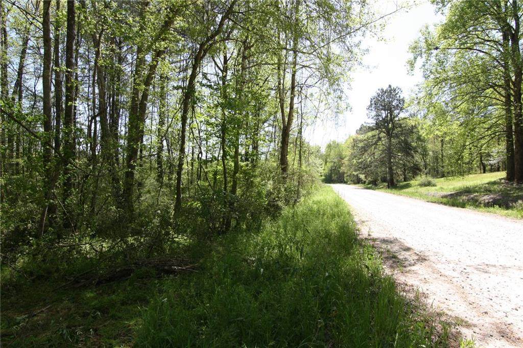 #96 Speight Road - Photo 1