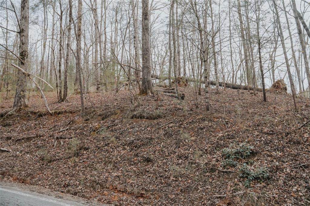 1142 Lemmon Lane - Photo 1