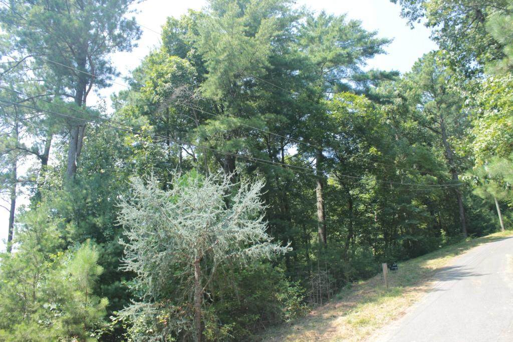 808 Nettle Lane - Photo 1