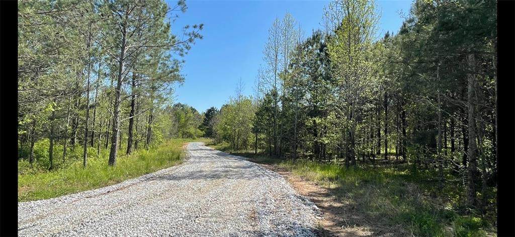 0 Davis Academy Road - Photo 1