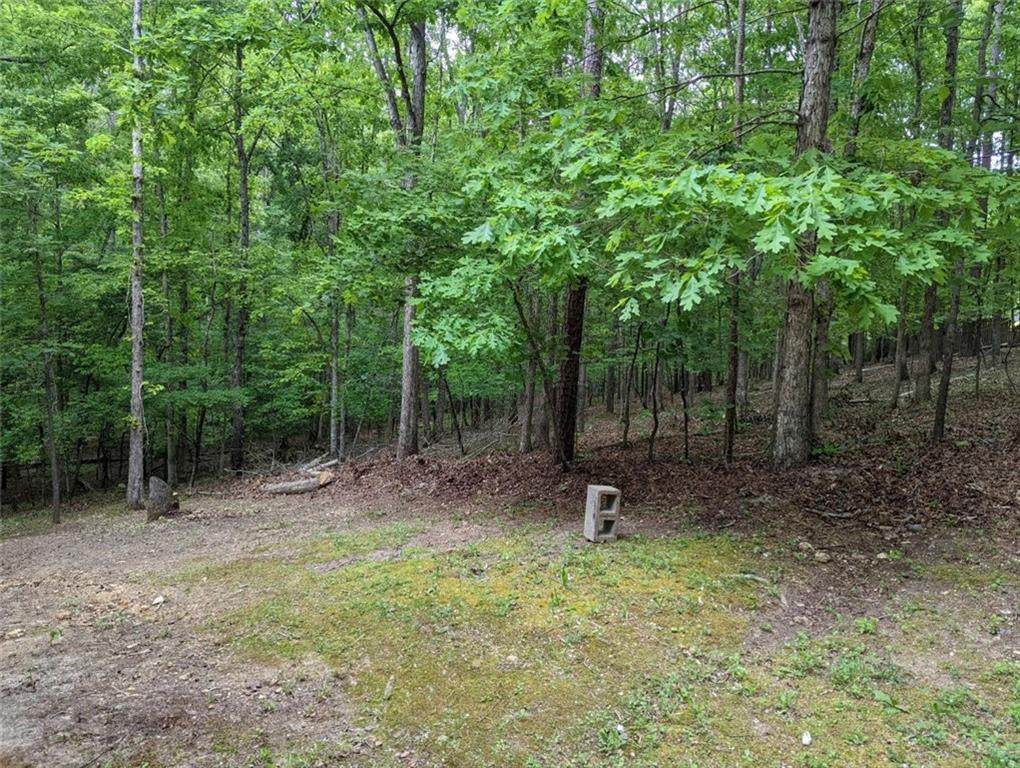 0 Camelot Circle - Photo 1