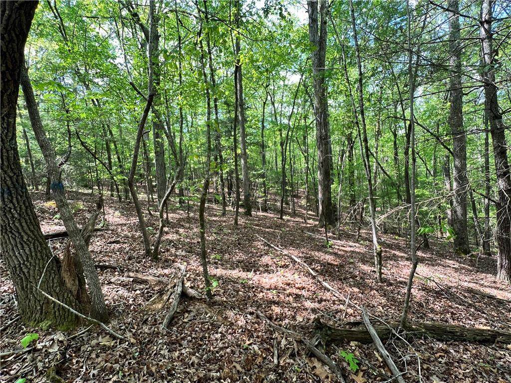 441 Chatuge Trail - Photo 1