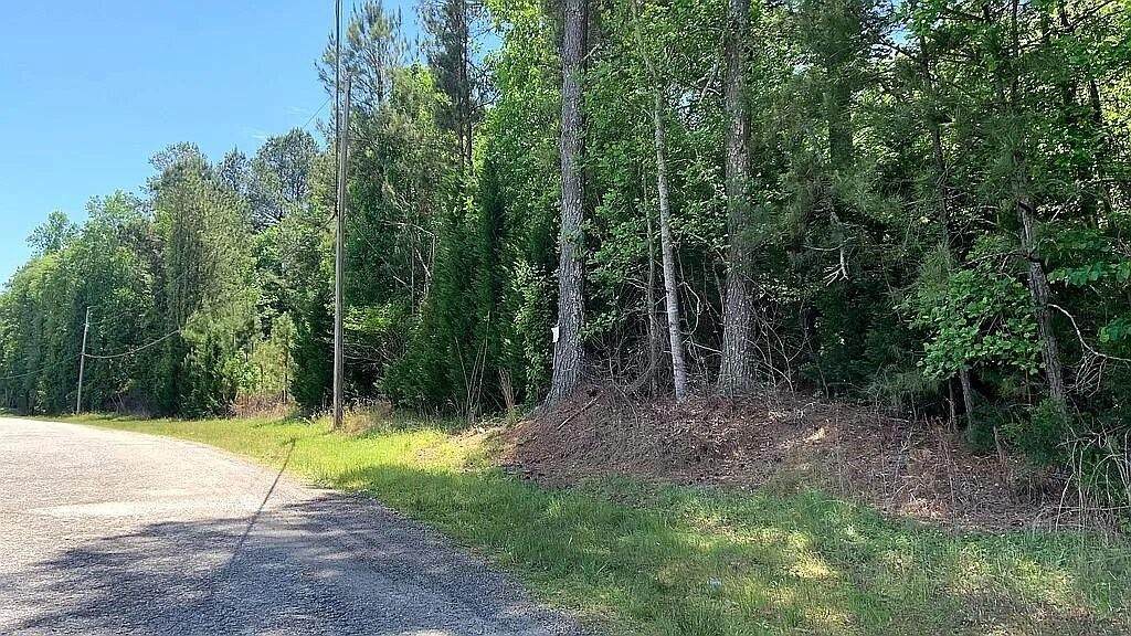 4580 Grady Smith Road - Photo 1