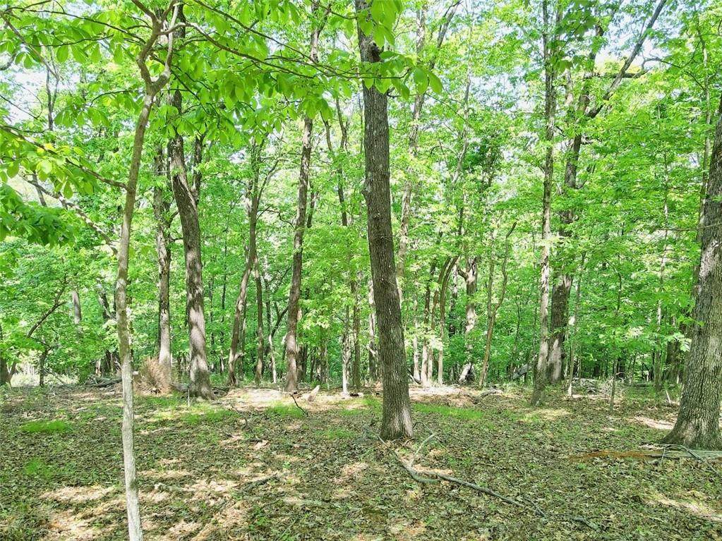 5039 Sanderlin Mountain Drive - Photo 1