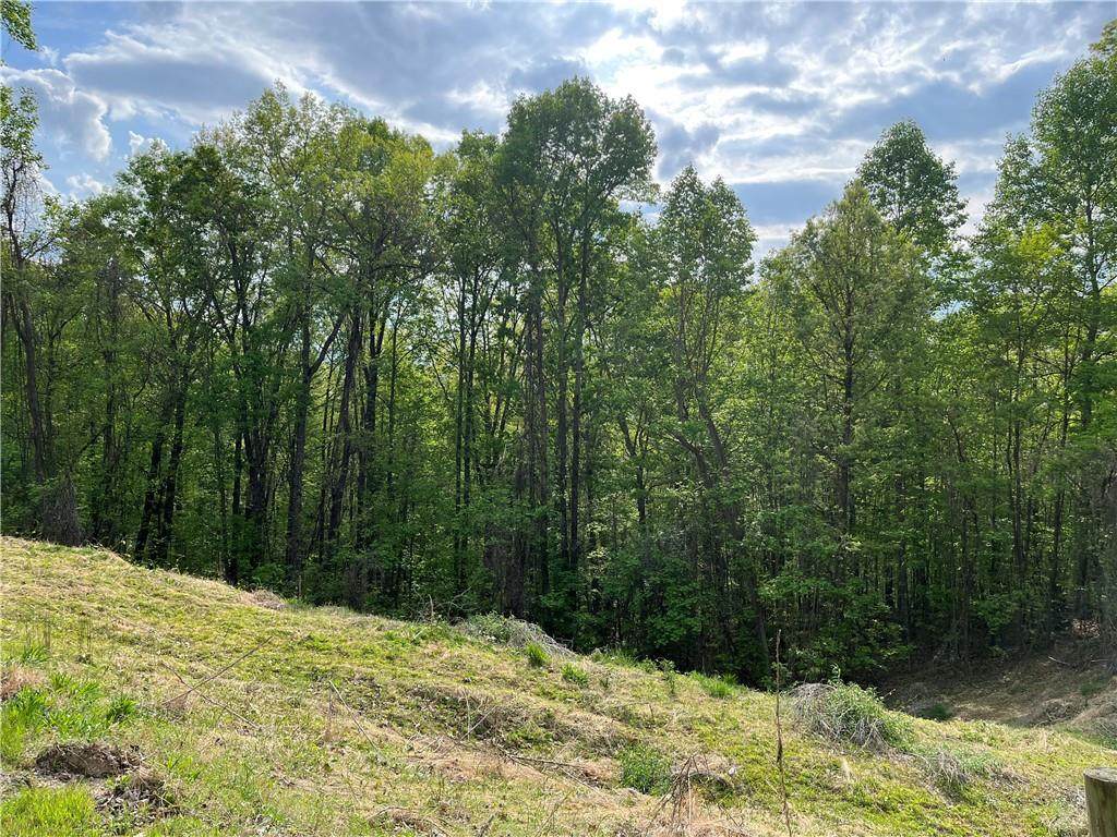 Lot 41 Sunny View Drive - Photo 1