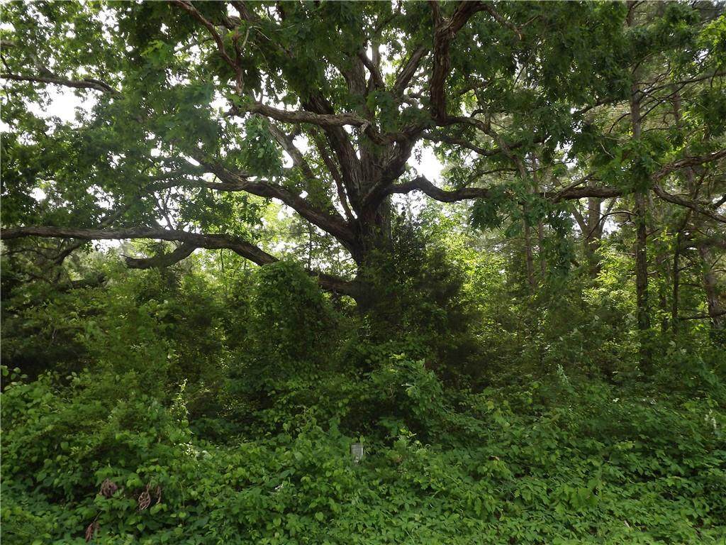 0 Youngs Valley Road A - Photo 1