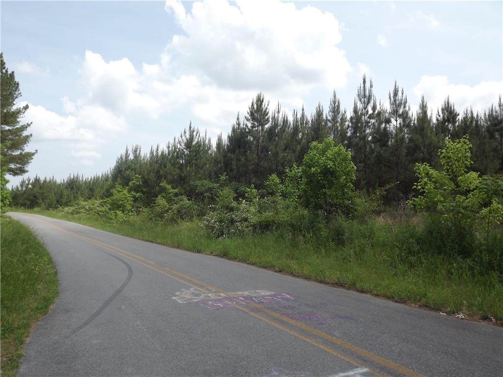 0 Youngs Valley Road B - Photo 1