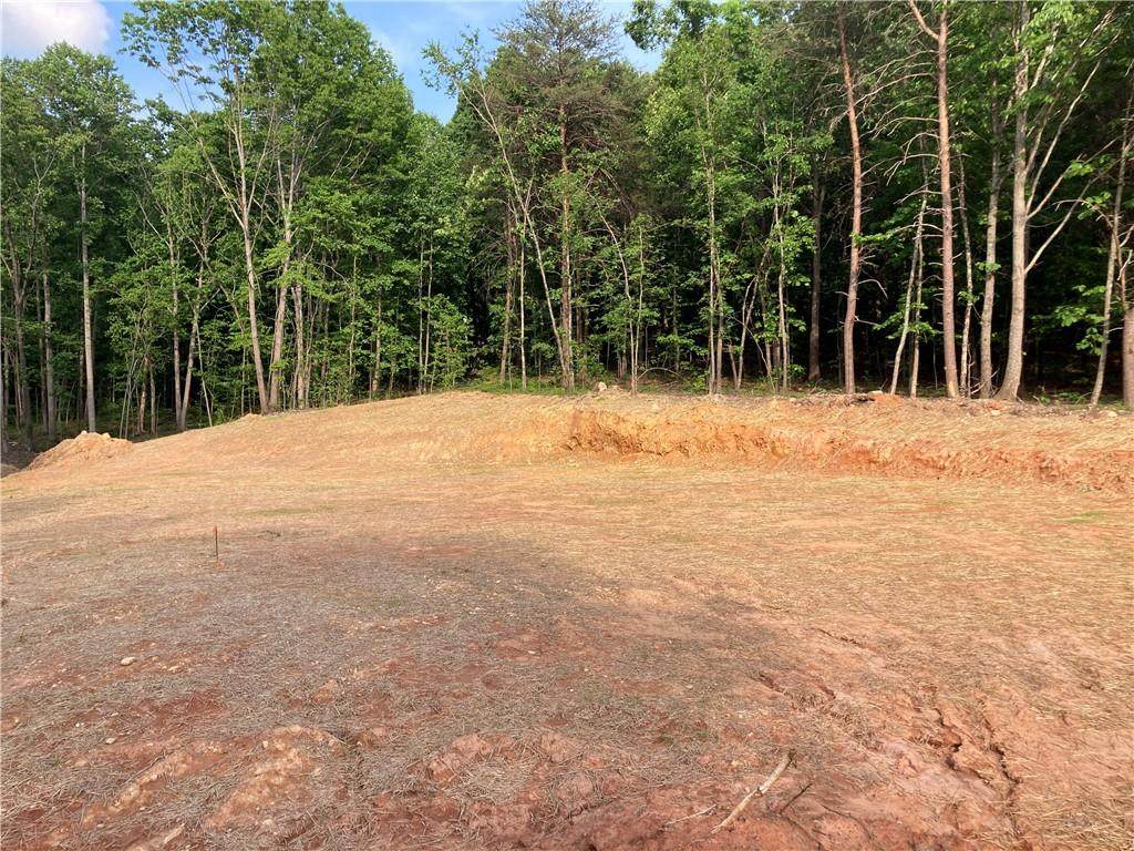 1382 Dr Bramblett Road - Photo 1
