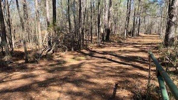 4380 Georgia Hwy 186 - Photo 1