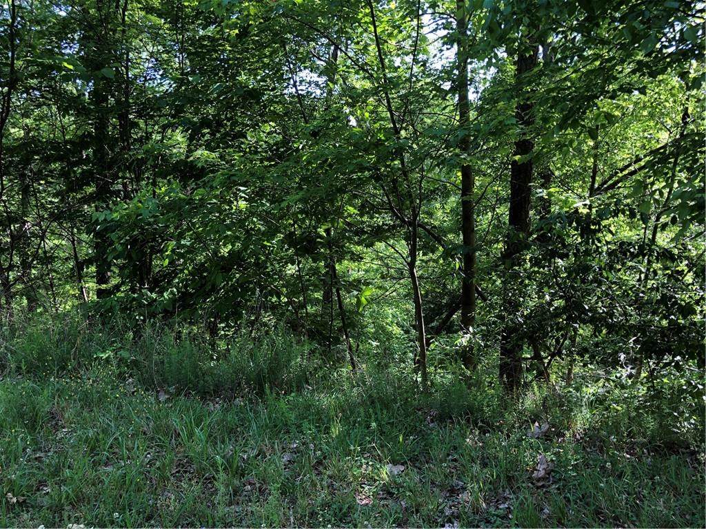 510 Marque Lane - Photo 1