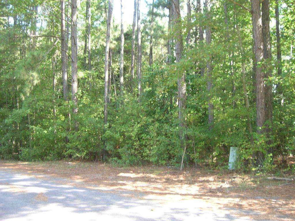 0 Mill Creek Drive - Photo 1