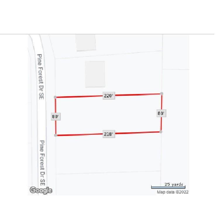 0 Pine Forest Drive - Photo 1