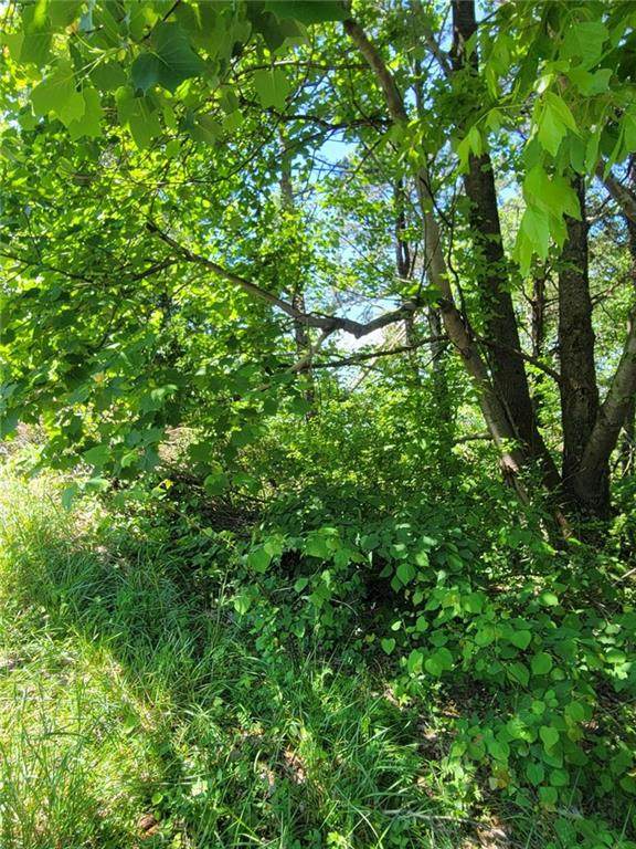 LOT52 Talona Mountain Road - Photo 1
