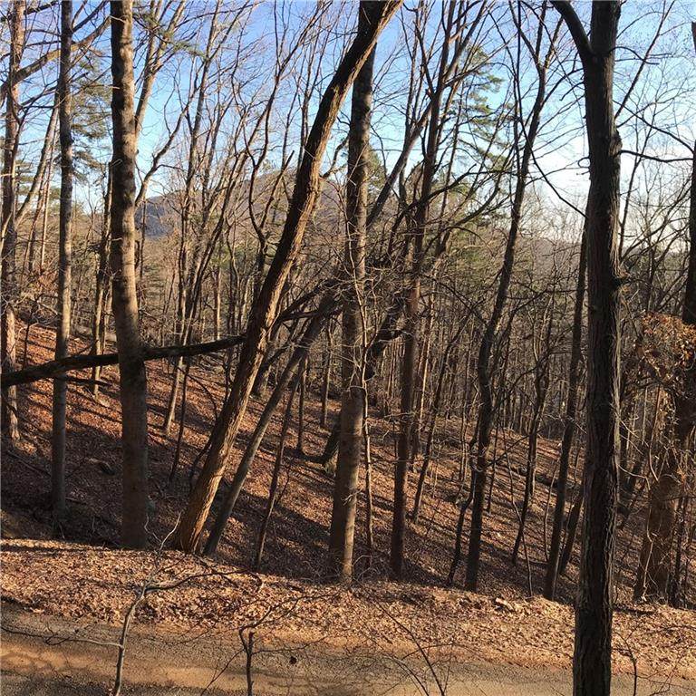 1317 Coachwhip Trail - Photo 1
