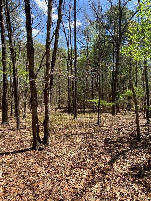 1741 Daves Creek Road - Photo 1