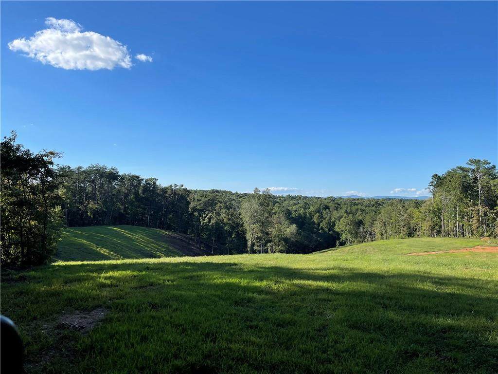4665 Roundtop Road - Photo 1